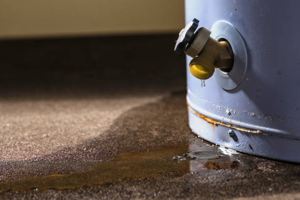 Best Carpet water damage restoration  in Stromsburg, NE