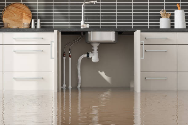 Best Flooded house restoration  in Stromsburg, NE