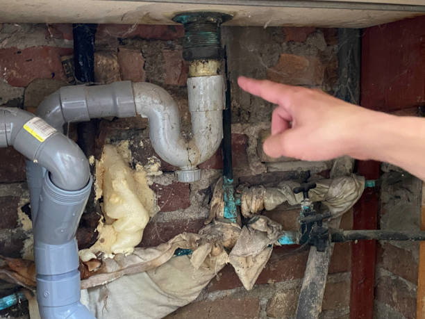 Best 24/7 water damage repair  in Stromsburg, NE